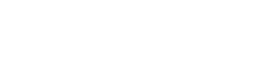 Badger Dental Group
